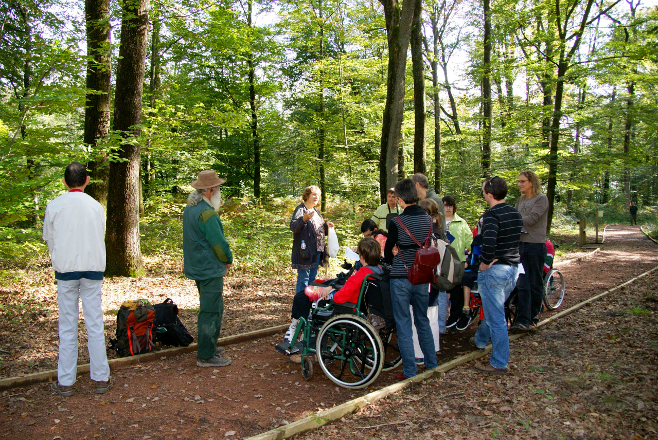 Accueil de public handicapé